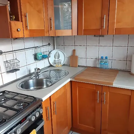 Apartament Pod Lasem Apartment