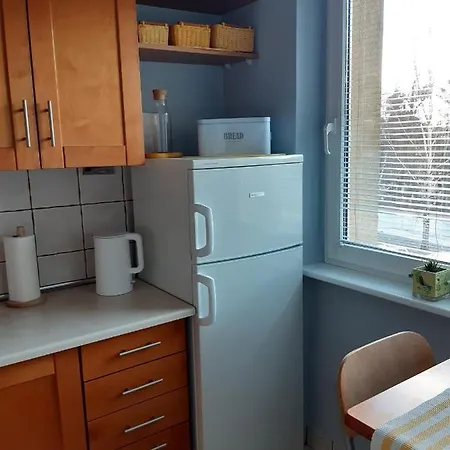 Apartament Pod Lasem Apartment