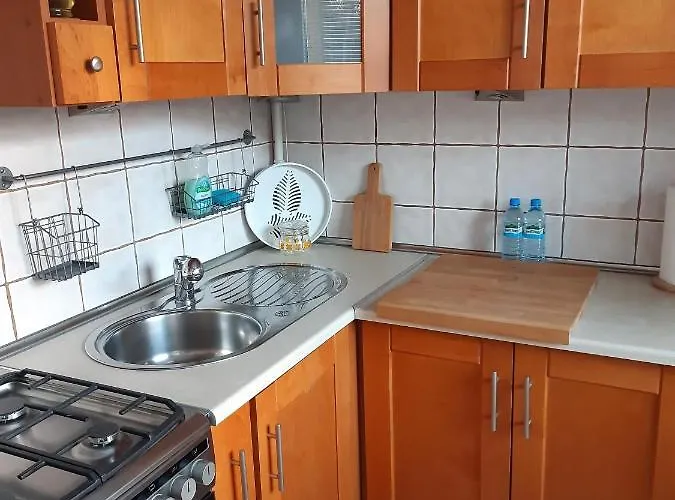 Apartament Pod Lasem Apartment