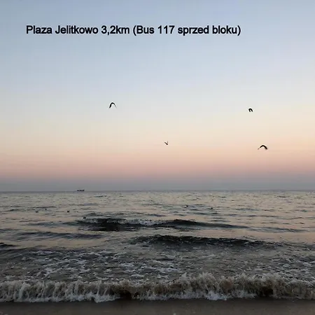 Apartament Pod Lasem *